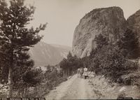 21. 2186. Sætersdalen, Mellem Valle og Bykle - no-nb digifoto 20151105 00127 bldsa AL2186.jpg