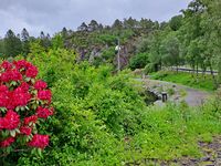 Foto: Eva Rogneflåten 2022