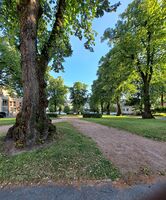 Foto: Eva Rogneflåten (2021)