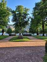 Foto: Eva Rogneflåten (2021)