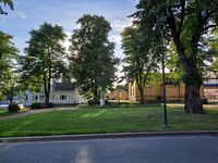 Foto: Eva Rogneflåten (2021)