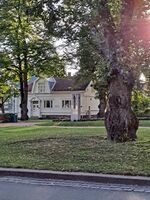 Foto: Eva Rogneflåten (2021)