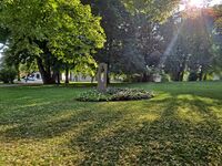 Foto: Eva Rogneflåten (2021)