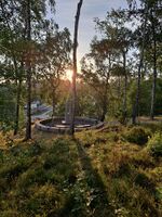 Foto: Eva Rogneflåten (2021)