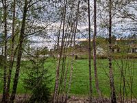 Sørbråten, der det nasjonale minnesmerket Memory Wound skulle ligget, sett fra veien østfra. Foto: Eva Rogneflåten, 2021