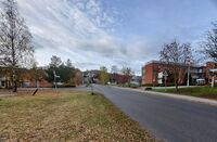 Foto: Eva Rogneflåten (2021)