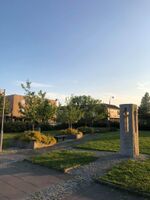 Foto: Edi Kudra (2021)