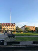 Foto: Edi Kudra (2021)