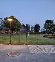 Foto: Eva Rogneflåten (2021)