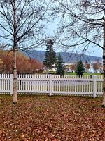 Foto: Eva Rogneflåten (2021)