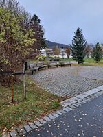 Foto: Eva Rogneflåten (2021)