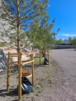 Nasjonalt minnested på Utøyakaia, nesten ferdig til offsiell åpning 18.06.2022. Foto: Eva Rogneflåten, 2022