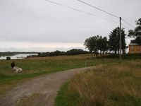 98. 22631 216-62 Ytre Maalen.jpg