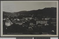 113. 2363. Fredrikshald. Panorama - no-nb digifoto 20151125 00109 bldsa PK13241.jpg