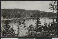 16. 2413 Lørenskog. Langtjern - no-nb digifoto 20150821 00167 bldsa PK23566.jpg