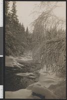 148. 24 Fra Mesna - no-nb digifoto 20151130 00223 bldsa PK35748.jpg