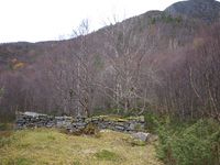 133. 26156 Fuglsnes - steinruin.jpg