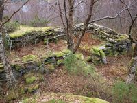 134. 26160 Fuglsnes - steinruin.jpg