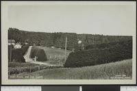 106. 266 Aleen ved Dal Gaard - no-nb digifoto 20150901 00009 bldsa PK22945.jpg