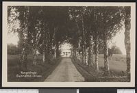 67. 2692 Kongsvinger Skinnarbøl-Alleen - no-nb digifoto 20150804 00055 bldsa PK28529.jpg