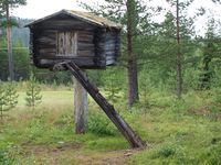 Samisk njalla fra Storuman i Sverige. Foto: Olve Utne.