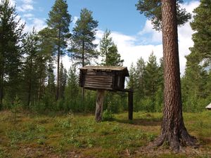 28052 Nybyggarland - njalla.jpg