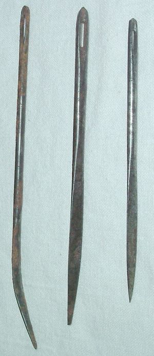 2892 tre seglnaaler.jpg