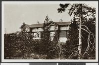 Sommerbilde Foto: Mittet & Co./Nasjonalbiblioteket