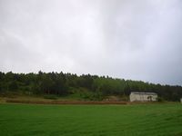 292. 29585j Haltbakkan Ertvågsøya - hesjing.jpg