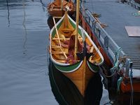 Nordlands-hundromsfæring (bygd av Kai Linde) under Råseglseminaret 2015 i Valsøyfjorden Foto: Olve Utne