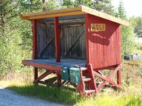 Stor mjelkerampe i Sømådalen i Nord-Østerdalen. Foto: Olve Utne (2016).