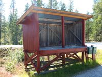 Stor mjelkerampe i Sømådalen i Nord-Østerdalen. Foto: Olve Utne (2016).