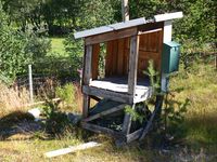 Lita mjelkerampe i Sømådalen i Nord-Østerdalen. Foto: Olve Utne (2016).