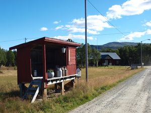 30390 mjelkerampe Narjordet.jpg