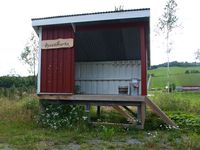 Busetmarka i Budalen i Midtre Gauldal kommune. Foto: Olve Utne (2016).