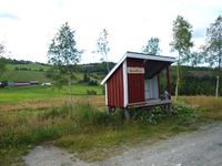 Busetmarka i Budalen i Midtre Gauldal kommune. Foto: Olve Utne (2016).