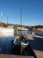 Halvfjerderømming i Vågen i Kristiansund på Nordmøre. Foto: Olve Utne (2016).