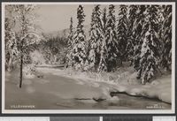 146. 308 Lillehammer - no-nb digifoto 20151130 00209 bldsa PK35575b.jpg