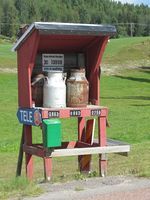 Mjölkbrygga i Grönåsdalen i Ljusdals kommun i Gävleborgs län. Foto: Olve Utne (2016).