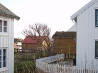 Foto: Olve Utne (2008).