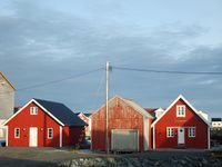 Foto: Olve Utne (2008).