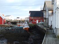 Foto: Olve Utne (2008).