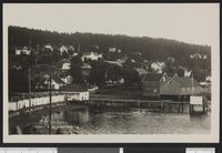 51. 3347 Hvitsten - no-nb digifoto 20150904 00040 bldsa PK24371.jpg