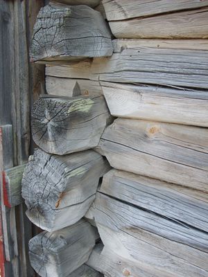 3366 novknutar paa naust i Foldfjorden.jpg