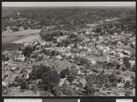 38. 33 C 1 Son - no-nb digifoto 20150904 00072 bldsa PK24379.jpg