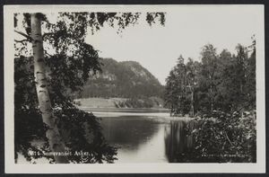 3614 Semsvannet, Asker - no-nb digifoto 20150817 00038 bldsa PK21939.jpg