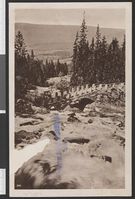 74. 366 Mesnafos - no-nb digifoto 20150811 00011 bldsa PK26275.jpg