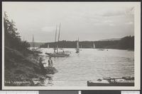 119. 368 Fra Langaaren. Kristianiafjorden - no-nb digifoto 20160107 00146 bldsa PK06107.jpg