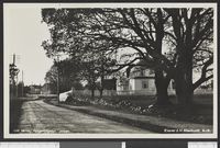 29. 384. Moss, Helgerødgaten, Jeløen - no-nb digifoto 20150227 00143 bldsa PK30452.jpg