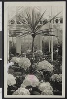 78. 3949. Fra Skaugum - no-nb digifoto 20150629 00010 bldsa PK21968.jpg